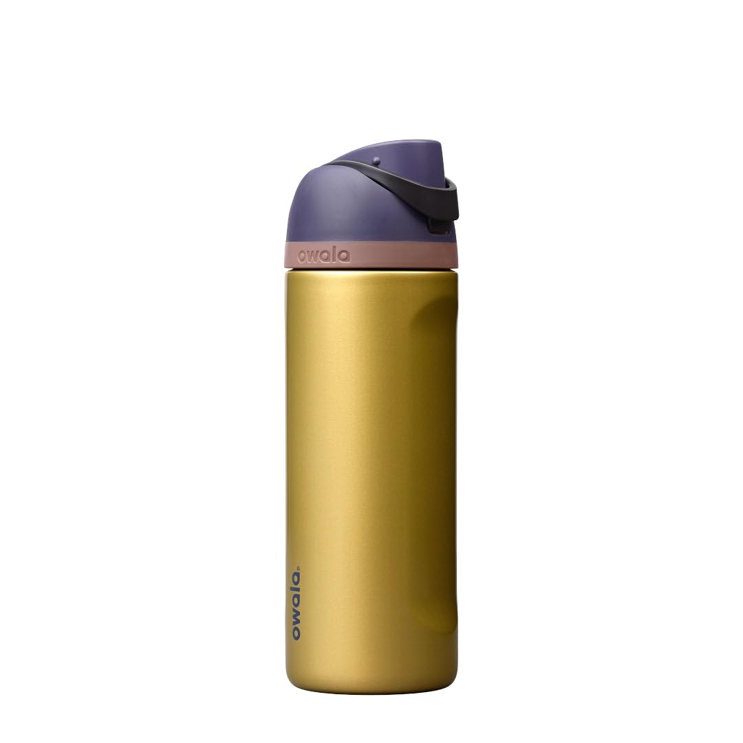 Owala FreeSip Stainless Steel Water Bottle 24 oz Foggy Tide