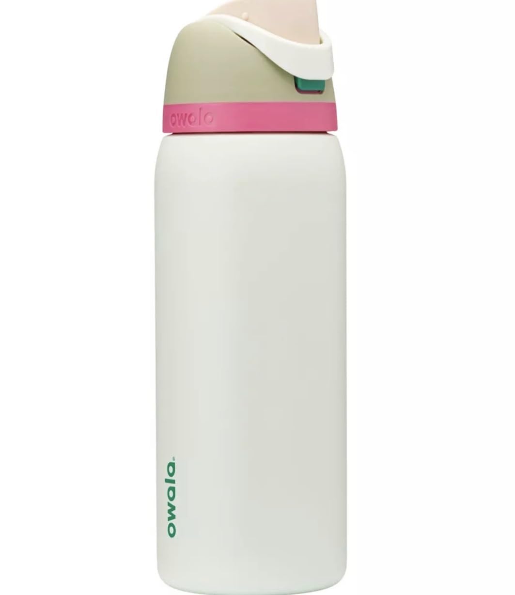 Owala FreeSip Stainless Steel Water Bottle 24 oz Foggy Tide