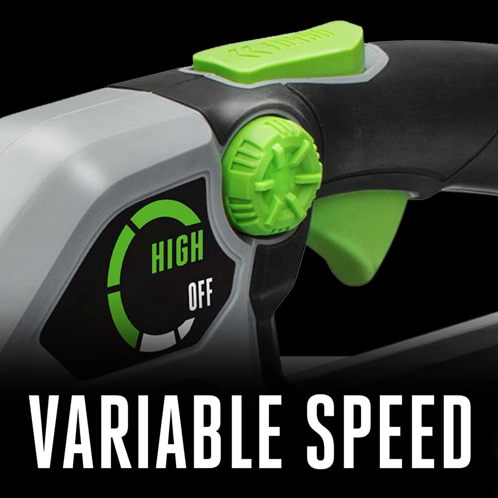 EGO POWER+ Cordless Electric Leaf Blower, 615 CFM, With Battery - LB6151