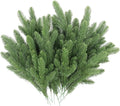 Hananona 50 Pcs Artificial Pine Needles Branches, Christmas Evergreen Picks